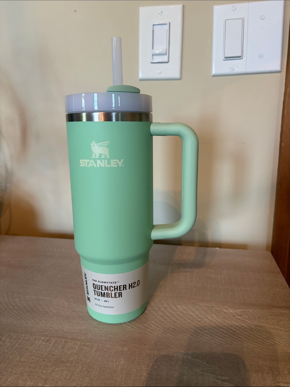 Stanley Quencher H2.0 Tumbler - pistachio